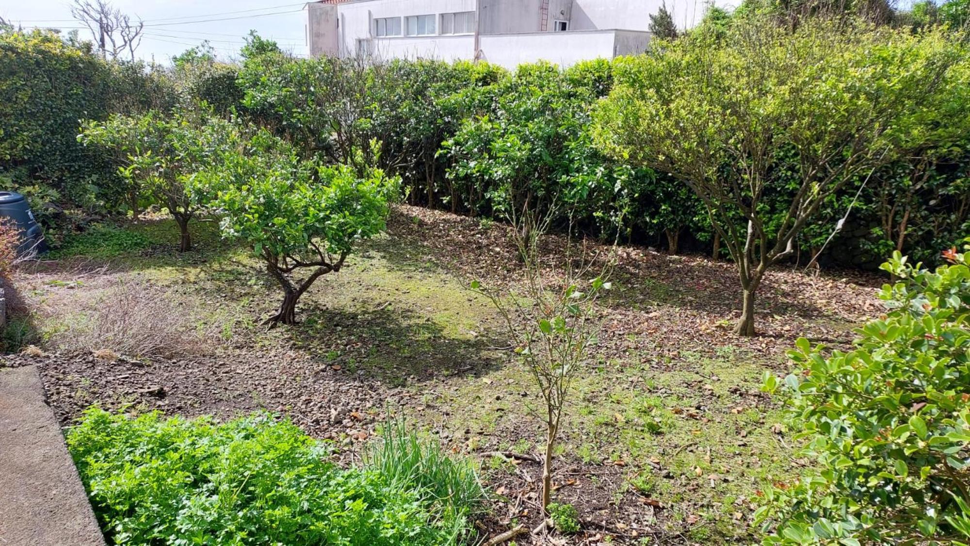 Retiro Das Camelias 1 Lajes das Flores ภายนอก รูปภาพ