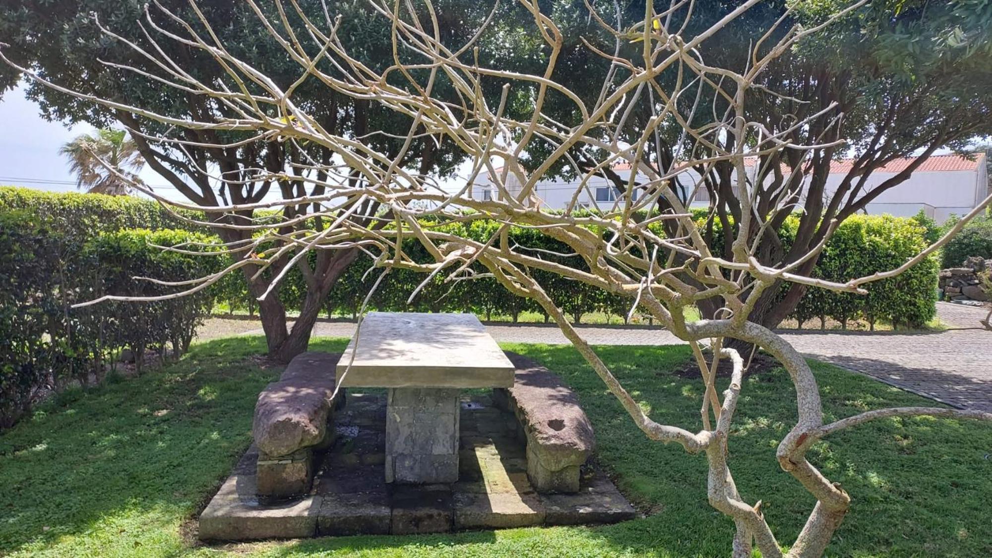 Retiro Das Camelias 1 Lajes das Flores ภายนอก รูปภาพ